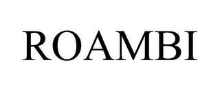 ROAMBI