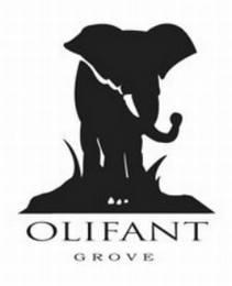 OLIFANT GROVE