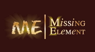 ME | MISSING ELEMENT