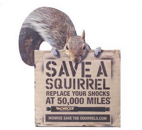 SAVE A SQUIRREL REPLACE YOUR SHOCKS AT 50,000 MILES MONROE MONROE SAVE THE SQUIRRELS.COM