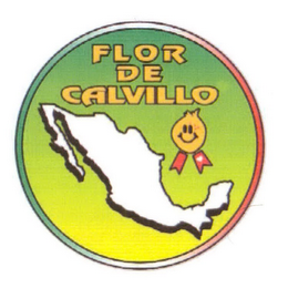 FLOR DE CALVILLO