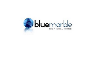 BLUEMARBLE RISK SOLUTIONS