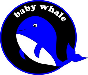 BABY WHALE