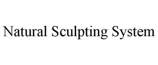 NATURAL SCULPTING SYSTEM