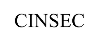 CINSEC