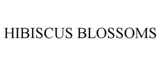 HIBISCUS BLOSSOMS