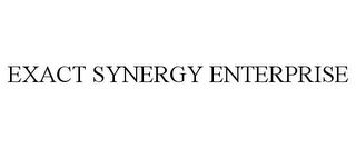 EXACT SYNERGY ENTERPRISE