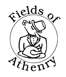 FIELDS OF ATHENRY
