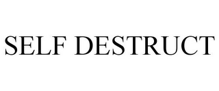 SELF DESTRUCT