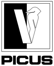 V PICUS