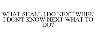 WHAT SHALL I DO NEXT WHEN I DON'T KNOW NEXT WHAT TO DO?