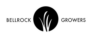 BELLROCK GROWERS