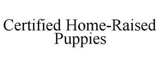 CERTIFIED HOME-RAISED PUPPIES
