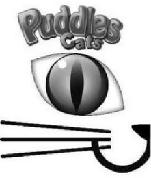 PUDDLES CATS