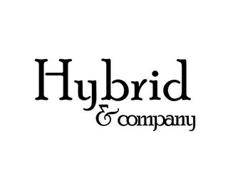 HYBRID & COMPANY