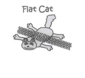 FLAT CAT