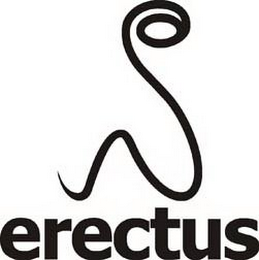 S ERECTUS