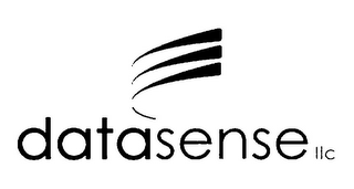 DATASENSE LLC