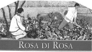 ROSA DI ROSA