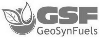 GSF GEOSYNFUELS