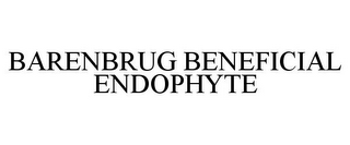 BARENBRUG BENEFICIAL ENDOPHYTE