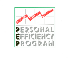 PERSONAL EFFICIENCY PROGRAM