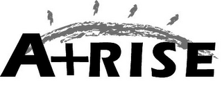 A+RISE