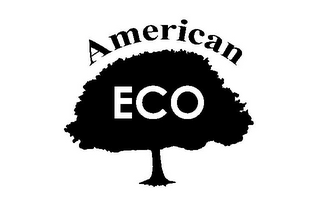 AMERICAN ECO