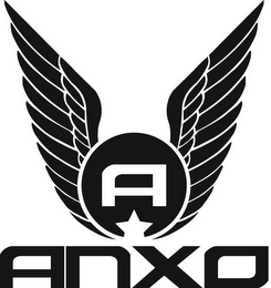 ANXO A