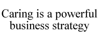 CARING IS A POWERFUL BUSINESS STRATEGY