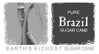 PURE BRAZIL SUGAR CANE EARTH'S RICHEST SUGAR CANE