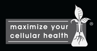 MAXIMIZE YOUR CELLULAR HEALTH