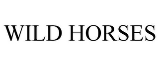 WILD HORSES