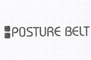 POSTURE BELT