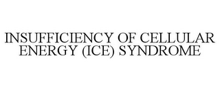 INSUFFICIENCY OF CELLULAR ENERGY (ICE) SYNDROME