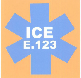 ICE E.123