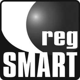 REG SMART