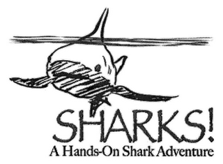 SHARKS! A HANDS-ON SHARK ADVENTURE