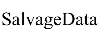 SALVAGEDATA