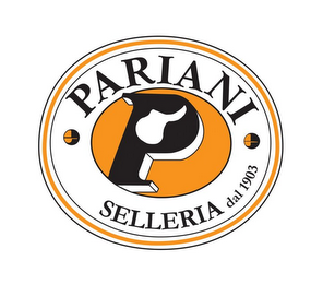 P PARIANI SELLERIA DAL 1903