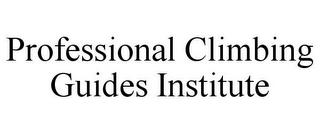 PROFESSIONAL CLIMBING GUIDES INSTITUTE