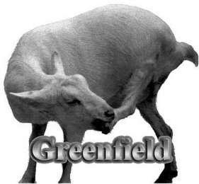 GREENFIELD