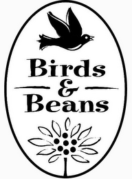 BIRDS & BEANS