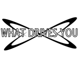 WHAT DRIVES YOU