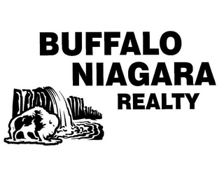 BUFFALO NIAGARA REALTY