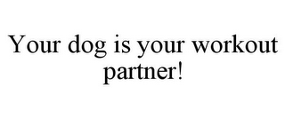 YOUR DOG IS YOUR WORKOUT PARTNER!