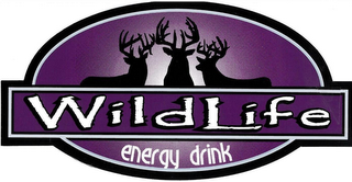 WILDLIFE ENERGY DRINK