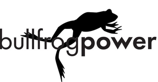 BULLFROG POWER