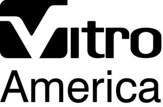 VITRO AMERICA