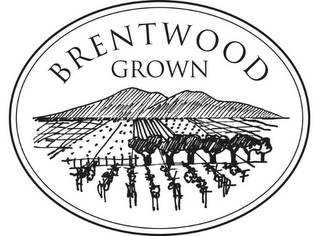 BRENTWOOD GROWN